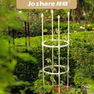 Rose Support Stand Support Rod Flower Stand Climbing Vine Stand Outdoor Climbing Courtyard Outdoor S