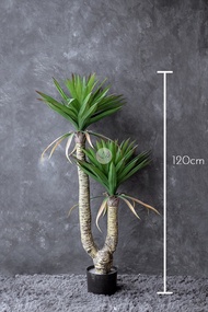 Hello Bobo Premium Quality Artificial Plant Tree Yucca Elephantipes Indoor Home Decoration Pokok Bun