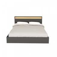 Global House DELICATO เตียงนอน 6 ฟุต รุ่น Deamon ขนาด 190X207.9X100ซม.สีโอ๊ค-เทา รับประกันของเเท้
