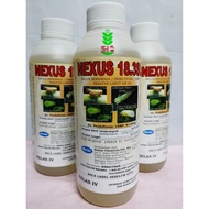 1L Hextar Nexus 18.3SL (imidachloprid 18.3%) Racun Serangga / Bena Perang / Kesing / Sama Confidor