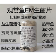 Ornamental Fish EM Probiotics 1 Capsule rm0.60 Fish Tank Water Purification Sterilization Disinfecti