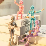 3D Articulated Action Figure Dummy 13 Action Figure Women Fashion Dummy Female Action Figure