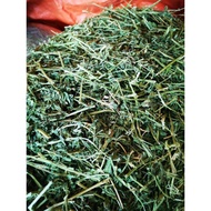 Alfalfa Hay 1kg Rumput Kering Alfalfa 1kg