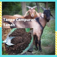 BAJA ORGANIK TAHI KAMBING 100% ORIIGINAL ORGANIC BAJA KOMPOS TAHI KAMBING BAJA ORGANIK BAJA TINJA KA