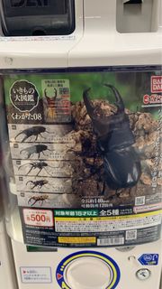 最新 全新 代扭日本 扭蛋 甲蟲 大圖鑑 08
