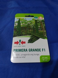 Primera Grande (25 seeds) Hybrid Patola by East West Seed