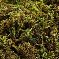 1/2/5Packs Sphagnum Peat Moss Dried Moss for Bird Nest Material