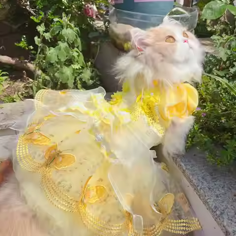 Luxury Yellow Lace Tail Princess Dress For Small Medium Dog Fashion Handade Pet Dog Clothes Puppy Do
