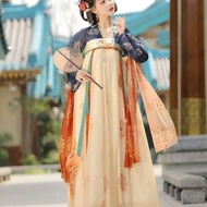 Fuyao's Embroidered Print Chest Torn Skirt - Tang Dynasty Style Hanfu
