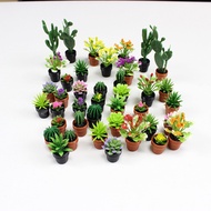 Miniature Baby House Succulent Mini Potted Plant Cactus Bedpot Decoration Sand Table Apartment Model