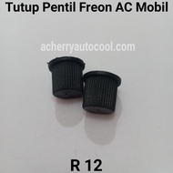 Car Ac Freon Valve Cap R12 Code Hv105
