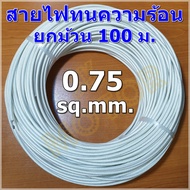 สายไฟทนความร้อน 200 องศา 0.75 SQ.MM. 100 ม. สายทนความร้อน สายไฟซิลิกอน สายไฟฮีตเตอร์ สายไฟใยแก้ว 300