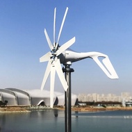 Liche 1kw 1000w Horizontal Strong Wind Turbine Generator 48V 24V 12V Power Magnetic Dynamo Free Ener