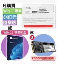 Microsoft微軟 Windows 11 PRO 家用 專業 隨機版 作業系統 OEM 繁體中文版 內含金鑰 DVD