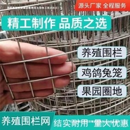Hot Galvanized Chicken Stopping Net Surrounding Free Shipping Corn Net Barbed Wire Net Construction 