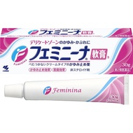 小林製藥 Feminina 女性私密處止癢消炎軟膏S 30g【第2類醫藥品】