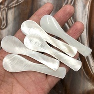 Shell Spoon In Stock Shell Spoon Facial Mask Beauty Spoon Caviar Spoon Ice cream scoop 7DDD