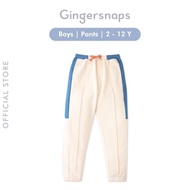 Ready Gingersnaps Hodgepodge Pants Beige - Boys' Pants