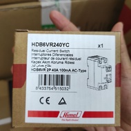 HIMEL 2P & 4P RCCB HDB6VR ELCB