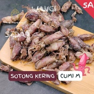 Sotong Kering Cumi Bulat 5A 1KG Sotong Kering Bulat Sotong Cumi Murah | Sotong Cumi Asin | Sotong Cu