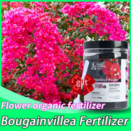 bougainvillea fertilizer 500G Organic fertilizer for bougainvillea