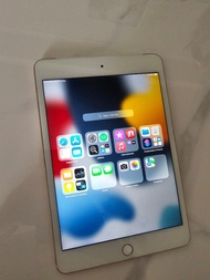 Ipad mini 4 WiFi+ LTE 16GB 可插卡上網 Zoom A1550