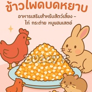 ข้าวโพดบดหยาบสำหรับเลี้ยงสัตว์(แบ่งขาย) เลี้ยงไก่/สัตว์ฟันแทะ ขนาด500ก./1กก.