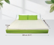 Bangkok Latex ท็อปเปอร์ ยางพาราแท้ - Super King 7 ฟุต | 220x200 ซม. | แก้ปวดหลัง