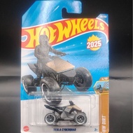 HW : DIRT 4/10 'TESLA CYBERQUAD' (2025)