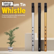 BEEYE Irish Whistle Flute, Easy-to-learn Rich Tone Aluminum Tin Whistle, Traditional C/D Key 6 Holes