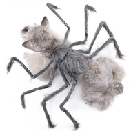Pawsfun Pet Spider Funny Transformation Costume Dog Halloween Costume Cat Funny Transformation Costu