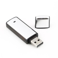 2in1 8GB Digital Audio Voice Recorder Pen USB