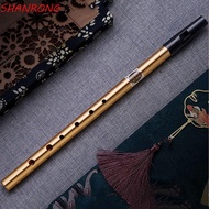 SHANRONG Irish Whistle Flute, 6 Hole Professional Ireland Flute, Musical Accessories Alloy Gift D Ke