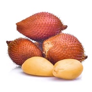 BUAH SALAK SIAM | SALAK FRUIT | SALAK THAI | SNAKE FRUIT | BUOH SALOK