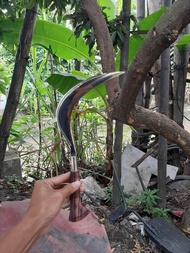 Arit sabit mini kecil cantik