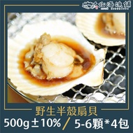 【北海漁鋪】 野生半殼扇貝 (5-6顆) 500g±10%/包*4包