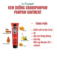 Spring Leaf Grand Pawpaw Multi-Purpose Moisturizing Cream 25g Papaya Extract Helps Moisturize Lips And Restore Skin