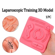 1PC Laparoscopic Training 3D Model Reusable Silicone Surgical Training Module Skin Suture Teaching M