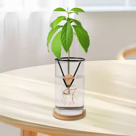 4Pcs Avocado Seed Starter Rack Avocado Growing Triangular Holder Avocado Tree Growing Bracket Avocad