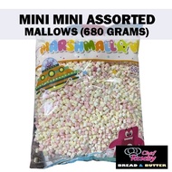 MINI MINI RAINBOW Marshmallows Cupcake Cookie Graham Smores Candy Toppings 680 grams HMART