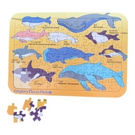Farglory Ocean Park Cetacean World Puzzle 96 Pieces