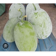 ♥️12 PCS BIJI BENIH BUAH KUNDUR 💯%ASLI(TIADA COD )♥️