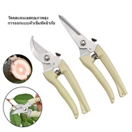 Pruning Shears/Household Shears/Multi-Purpose Shears Labor-Saving Stainless Steel Scissors
