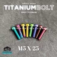 Titanium Bolts Small Head M5 x 25 Original GR5 Titanium Bolts