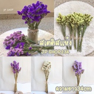 Dried Stisture Flowers Length 34cm There Are Many Colors. (F1)