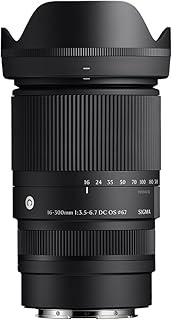Sigma 16-300mm F3.5-6.7 DC OS | Contemporary Lens for L-Mount