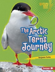 The Arctic Tern's Journey Benjamin Tunby