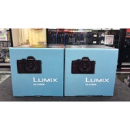 PANASONIC LUMIX DC-G100D