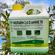 [ORIGINAL] 4L AMINE 70 NUFARM /Racun Rumpai 2,4-D/Keladi agas/Rumpai Herbicide/Setawar/Akar Ruas-rua