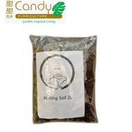 (SG Seller) Potting Soil (Usagi)